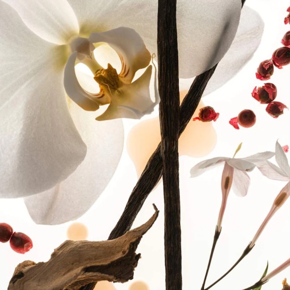 Phlur Vanilla Skin 2mL Decant Sample with Spray - Picture 2 of 4